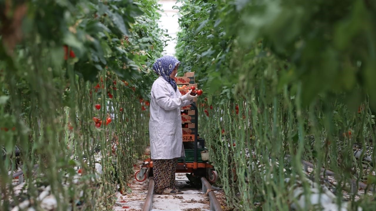 jeotermal-2025te-yatirim-uykusundan-uyandi-EMMsX1DM.jpg
