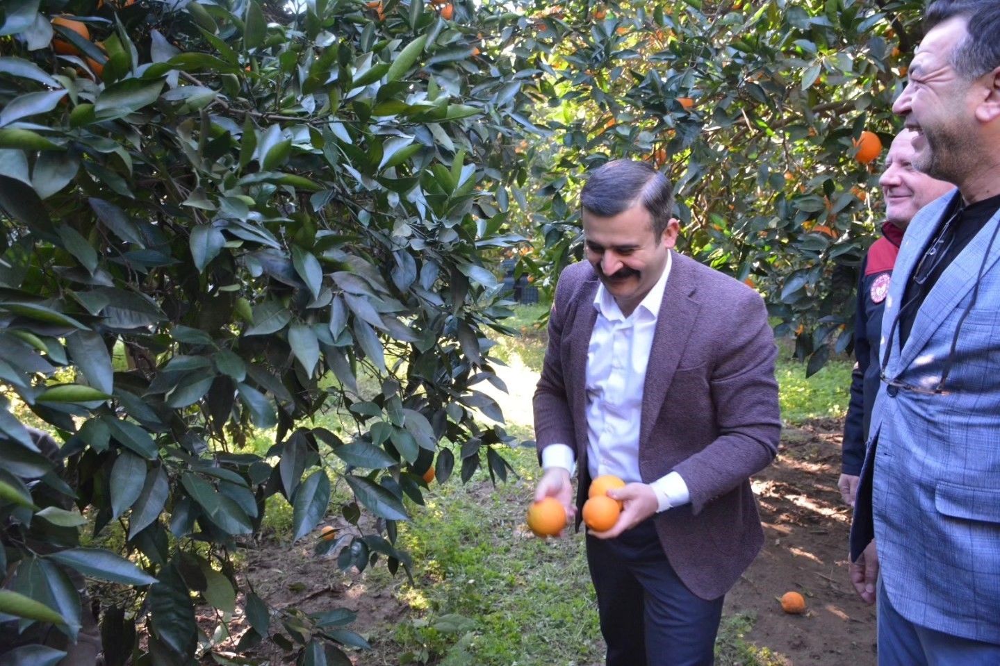 kaymakam-kumcu-koycegiz-portakali-hasadina-katildi-qyN6ex9x.jpg