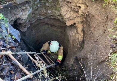 Kırkağaç’ta kuyuya düşen köpek itfaiye ekiplerince kurtarıldı