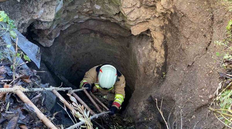 Kırkağaç’ta kuyuya düşen köpek itfaiye ekiplerince kurtarıldı