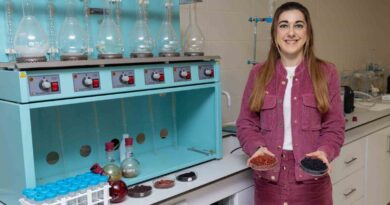 Kırmızı-mor meyvelerden fonksiyonel gıda ürünü