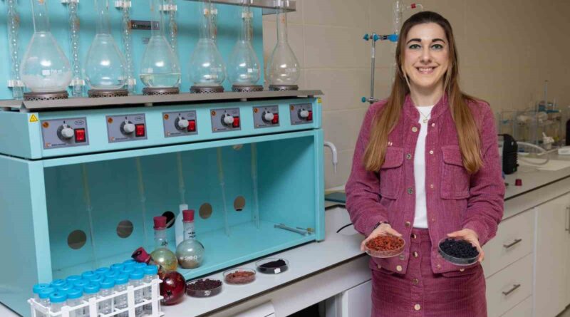 Kırmızı-mor meyvelerden fonksiyonel gıda ürünü