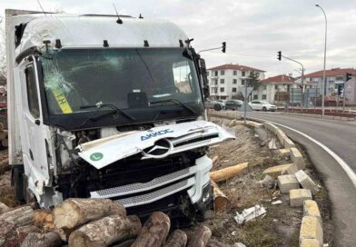 Kontrolden çıkan tır, kereste fabrikasının deposuna girdi