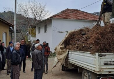 Köşk’te köklü kestane fidanları üreticilere dağıtıldı Köşk’te köklü kestane fidanları üreticilere dağıtıldı