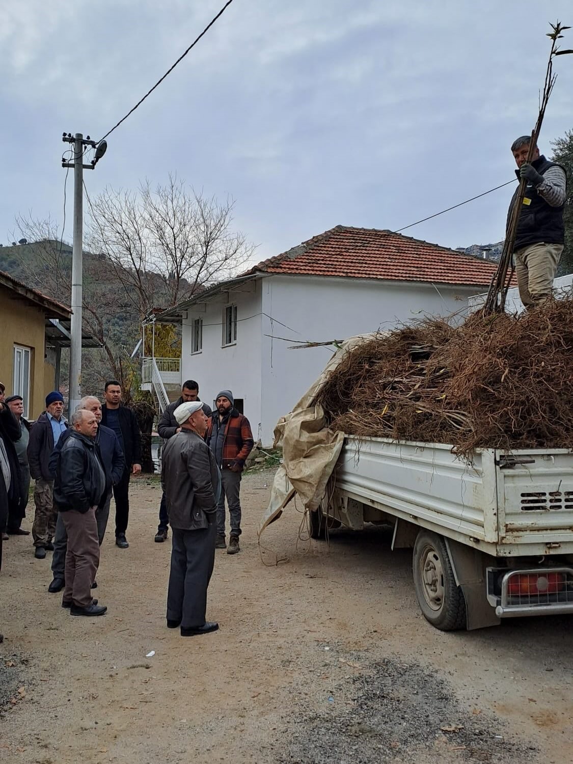 koskte-koklu-kestane-fidanlari-ureticilere-dagitildi-8nPRUGVn.jpg