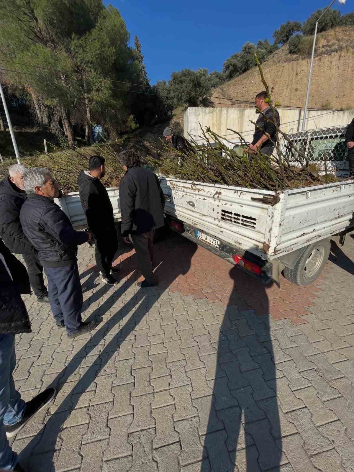 koskte-ureticiye-tuplu-incir-fidani-destegi-cpBtUHy4.jpg