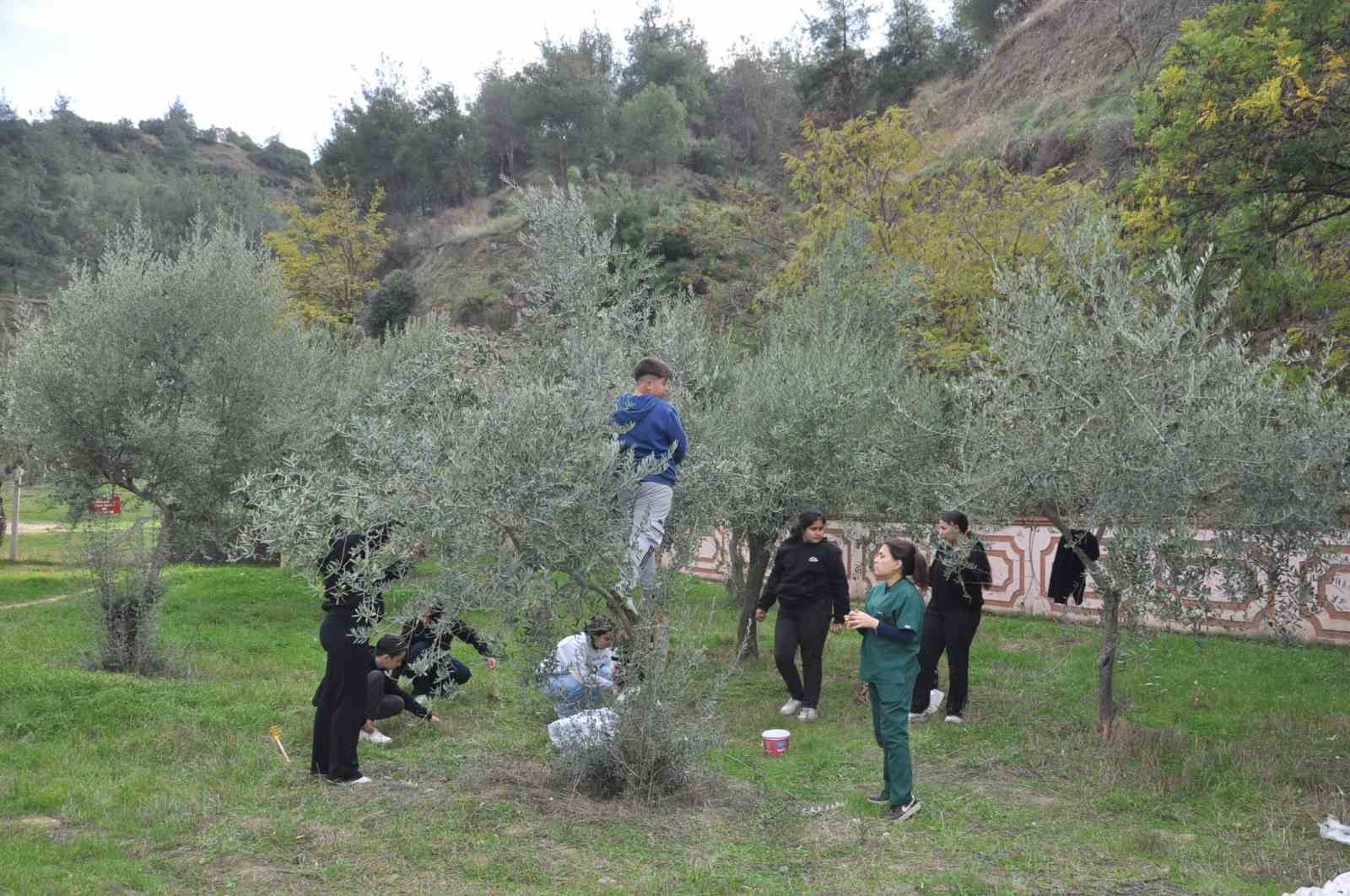 manisada-zeytin-50-projesiyle-cocuklar-hem-ogrendi-hem-uretti-CXPCfZzp.jpg
