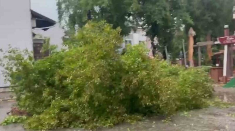 Marmaris’te sağanak etkili oldu