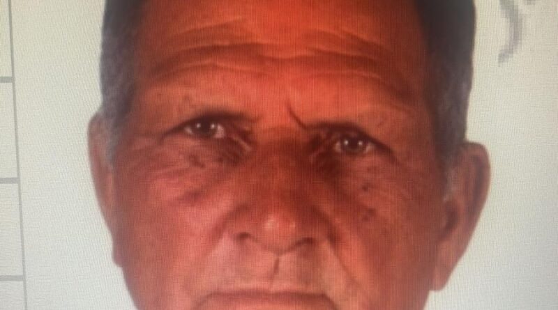 Milas’ta mantar ararken kaybolan 70 yaşındaki adamı arama çalışmaları sürüyor