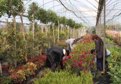 Muğla Büyükşehir’den yerel kalkınmaya katkı