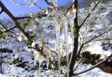 Muğla’da hava sıcaklığı -3’lere düşüyor