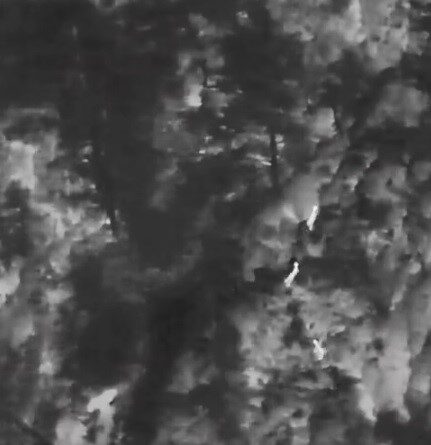 Muğla’da yaban hayatına “dron” kalkanı