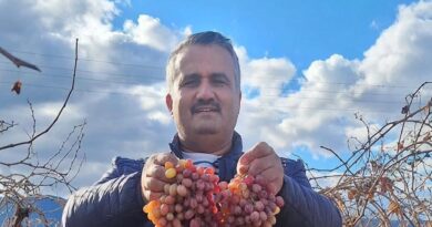 Soğuğa dayanıklı kazancı yüksek