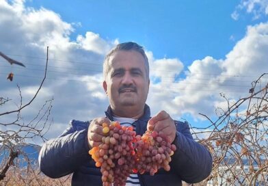 Soğuğa dayanıklı kazancı yüksek