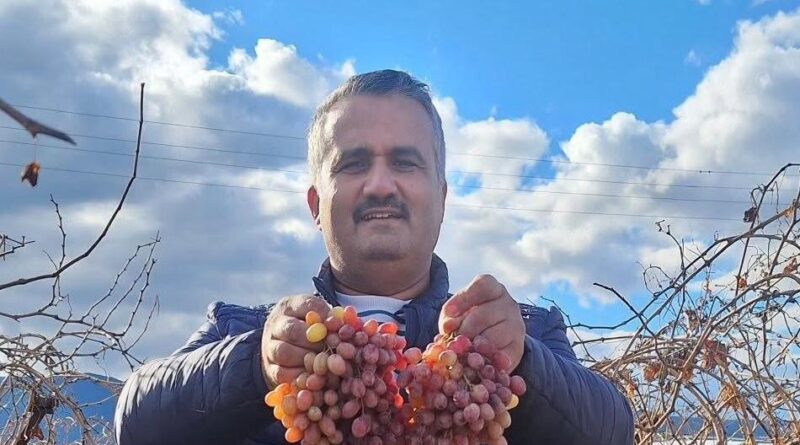 Soğuğa dayanıklı kazancı yüksek