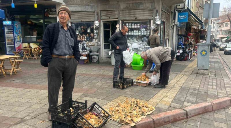 Tavşanlı’da Aralık ayı sonunda da Melki mantarı bereketi
