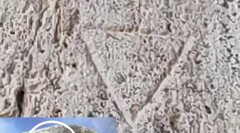 Tonyukuk tamgası ve Moğol ulzii işareti aynı yapıda ortaya çıktı Tonyukuk tamgası ve Moğol ulzii işareti aynı yapıda ortaya çıktı