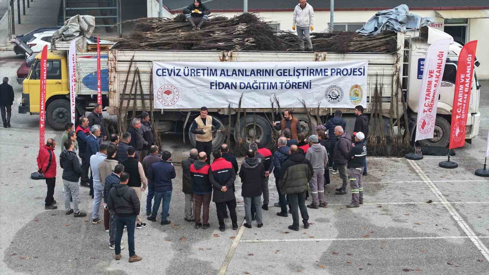 turkiyenin-ceviz-baskenti-denizlide-ceviz-fidani-dagitimi-basladi-c1jljafw.jpg