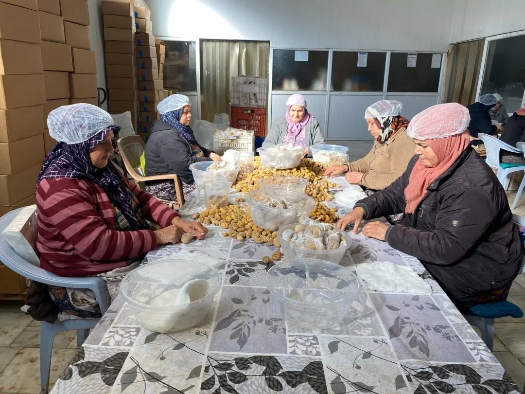 turkiyenin-yuzde-33unu-karsilayan-aydin-kestanesi-ihracata-hazirlaniyor-h2AzlRVF.jpg
