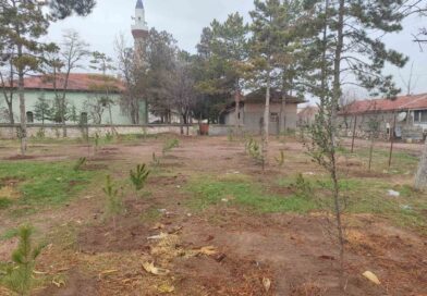 Umraniye köylüleri 300 adet fidanı okul ve camii bahçesine diktiler