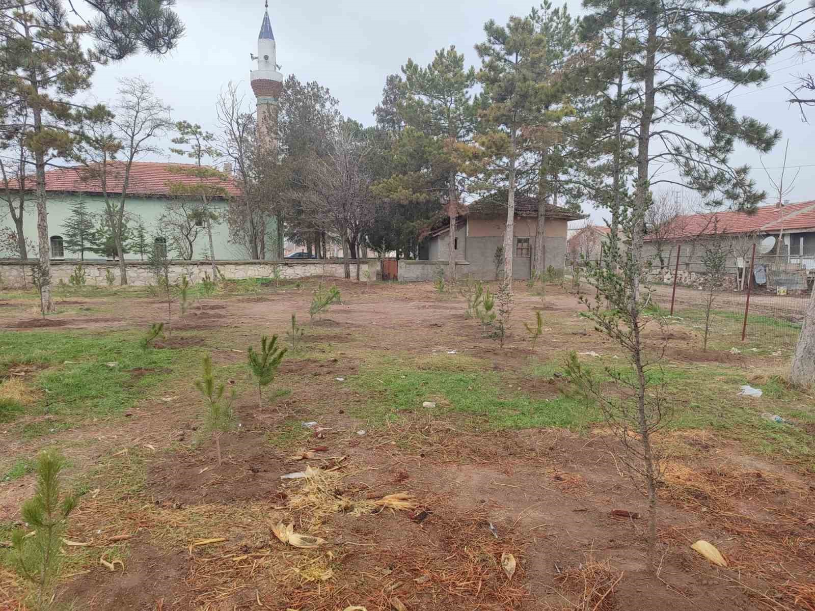 umraniye-koyluleri-300-adet-fidani-okul-ve-camii-bahcesine-diktiler-FdNgUshX.jpg