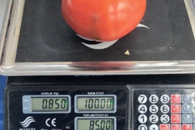 aydinda-850-gramlik-domates-pazarda-ilgi-gordu-VfIvIfD4.jpg