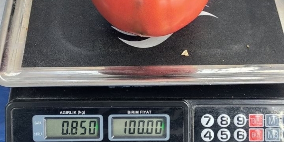 aydinda-850-gramlik-domates-pazarda-ilgi-gordu-VfIvIfD4.jpg
