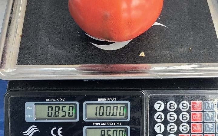 aydinda-850-gramlik-domates-pazarda-ilgi-gordu-VfIvIfD4.jpg