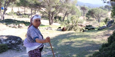 besparmak-daglarinda-cobanligi-terk-etmeyen-sadece-rukiye-baci-kaldi-B2FJ3VBc.jpg