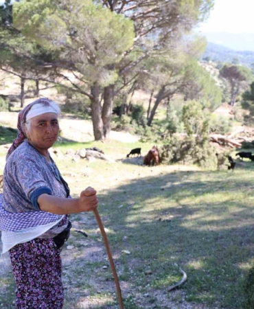 besparmak-daglarinda-cobanligi-terk-etmeyen-sadece-rukiye-baci-kaldi-B2FJ3VBc.jpg