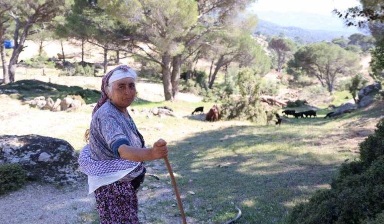 besparmak-daglarinda-cobanligi-terk-etmeyen-sadece-rukiye-baci-kaldi-B2FJ3VBc.jpg