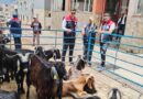 Bozdoğan’da kurban satış yerleri denetlendi