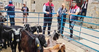 Bozdoğan’da kurban satış yerleri denetlendi