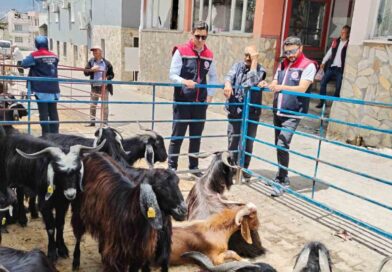 Bozdoğan’da kurban satış yerleri denetlendi