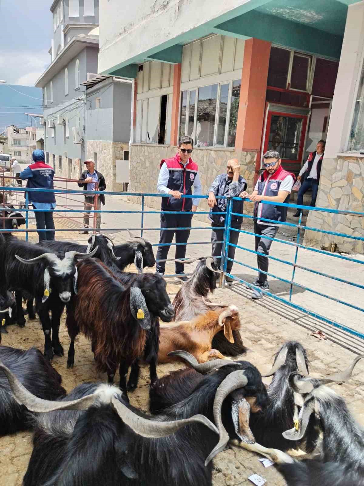 bozdoganda-kurban-satis-yerleri-denetlendi-pLPL1g5F.jpg