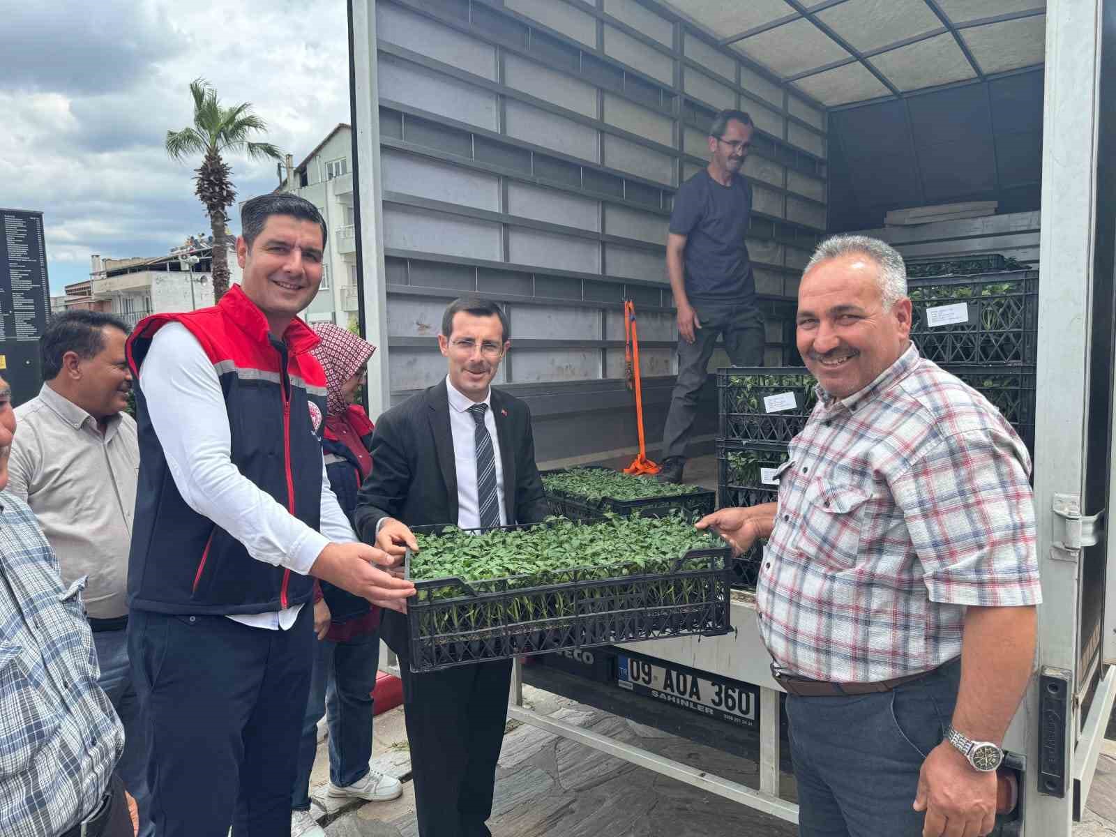 bozdoganda-ureticilere-14-bin-domates-fidesi-dagitildi-K3MRMz2m.jpg