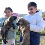 buyuksehirden-dikiliye-tam-tesekkullu-sokak-hayvanlari-kampusu-jESzzuIR.jpg