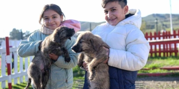 buyuksehirden-dikiliye-tam-tesekkullu-sokak-hayvanlari-kampusu-jESzzuIR.jpg