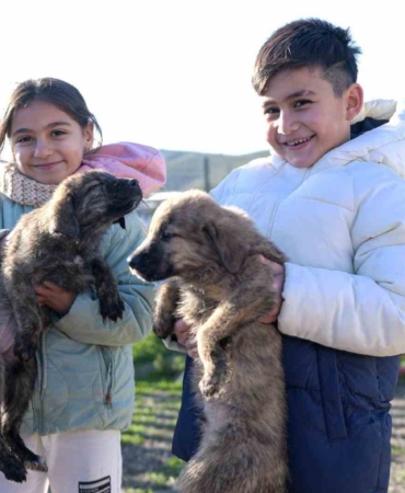 buyuksehirden-dikiliye-tam-tesekkullu-sokak-hayvanlari-kampusu-jESzzuIR.jpg