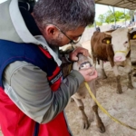 hayvan-pazarlarinda-denetim-arefe-gununde-de-suruyor-UMM1XgnI.jpg