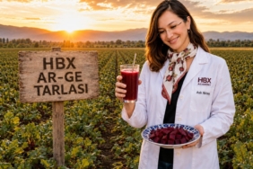 hbx-academy-kirmizi-pancari-laboratuvara-aldi-5zGDS2MO.jpg
