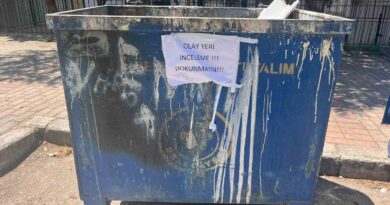 İzmir’de çöpte 33 ölü kedi bulunmasıyla ilgili bir veteriner gözaltına alındı