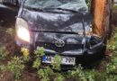 Kontrolden çıkan otomobil ormanlık alana uçtu: 1 yaralı