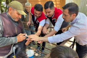 kurban-bayrami-oncesi-bozdogan-hayvan-pazarinda-siki-denetim-4p5uOkDb.jpg