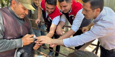 kurban-bayrami-oncesi-bozdogan-hayvan-pazarinda-siki-denetim-4p5uOkDb.jpg