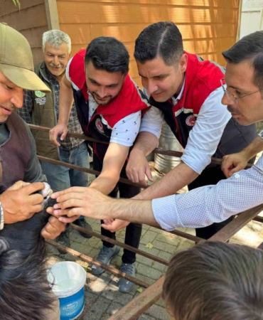 kurban-bayrami-oncesi-bozdogan-hayvan-pazarinda-siki-denetim-4p5uOkDb.jpg