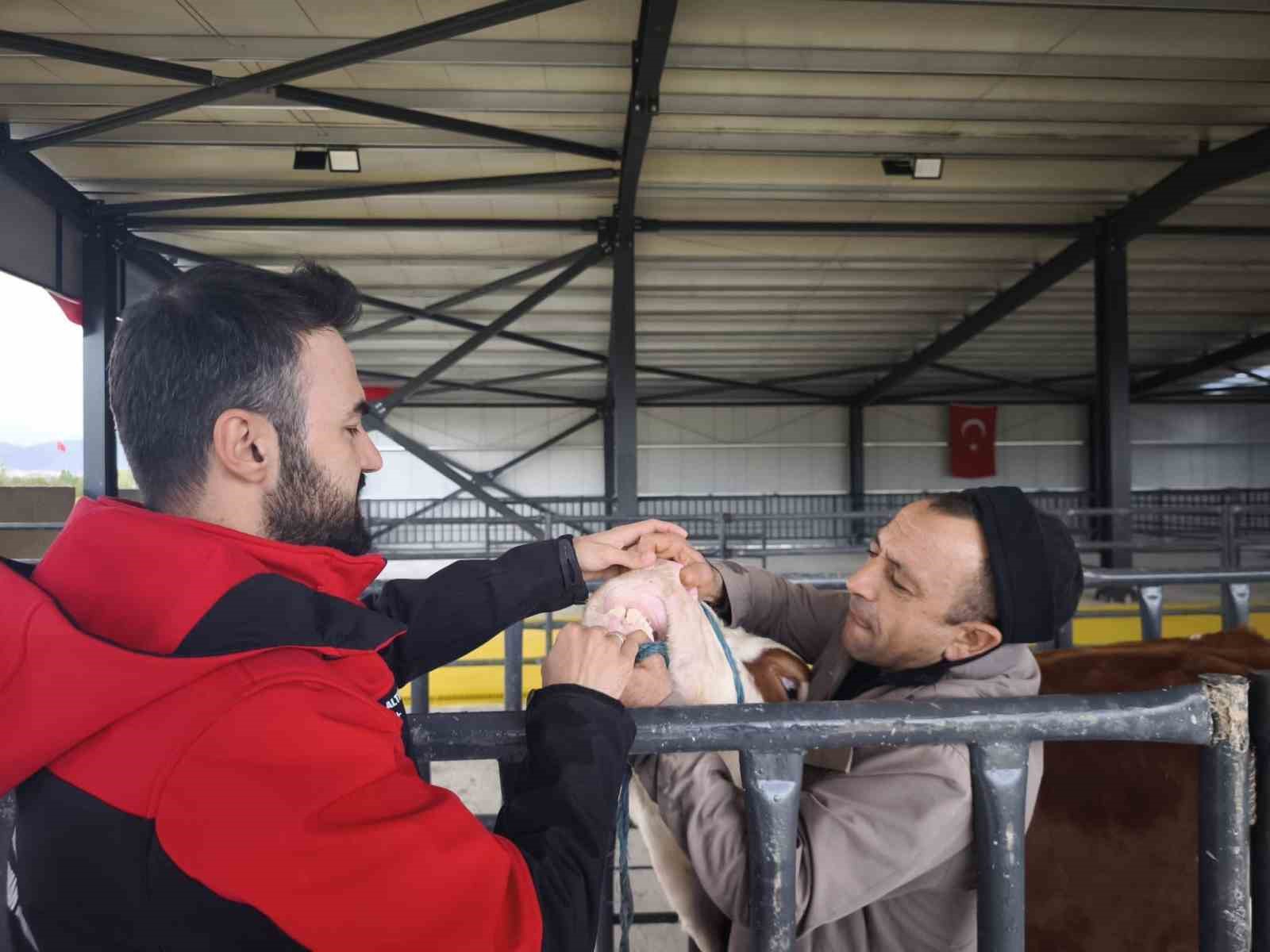 kurbanlik-denetimleri-suruyor-7lQKPyDF.jpg