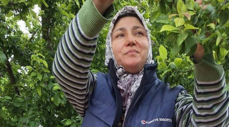 Yaz meyvelerinde bereket üreticinin yüzünü güldürdü Yaz meyvelerinde bereket üreticinin yüzünü güldürdü