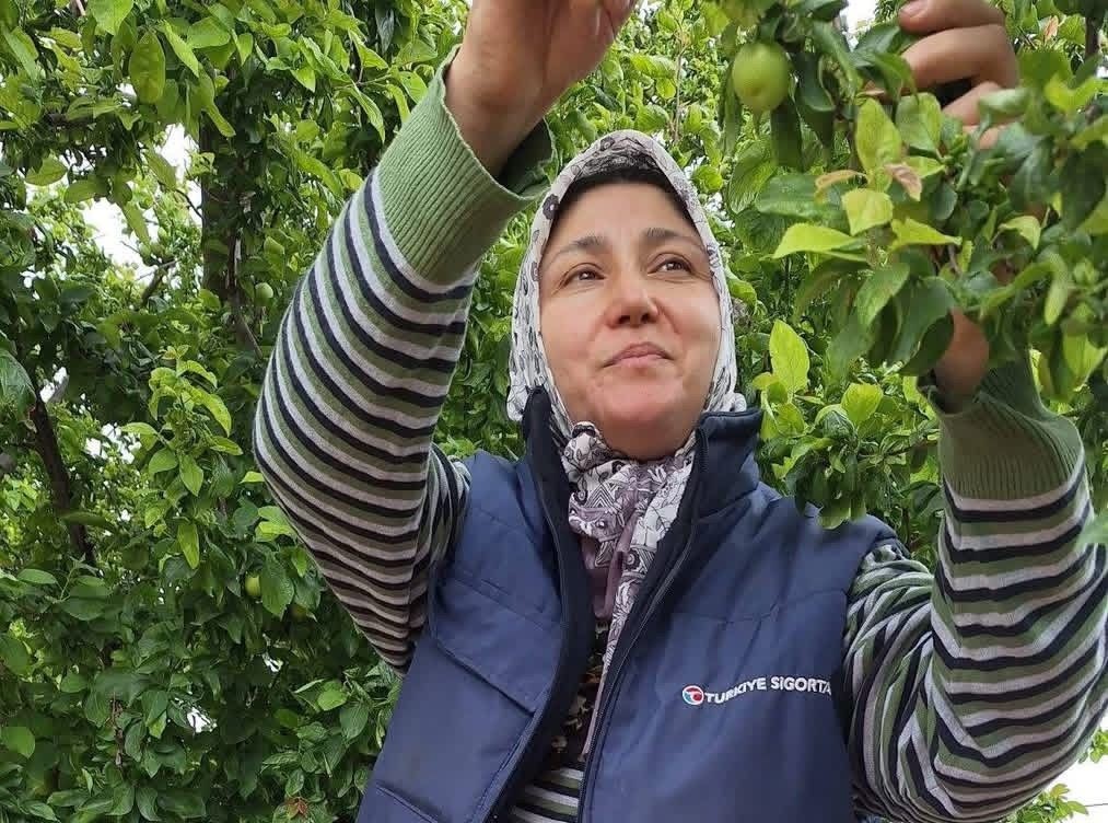 yaz-meyvelerinde-bereket-ureticinin-yuzunu-guldurdu-v1kUX9iA.jpg