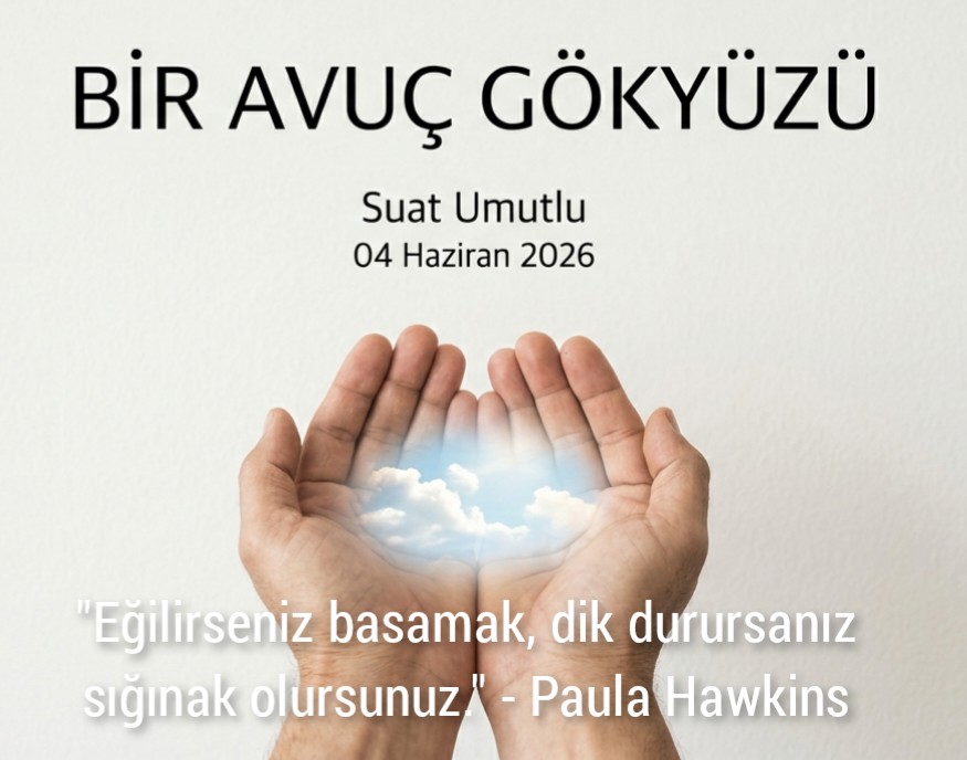 17805994212040765832